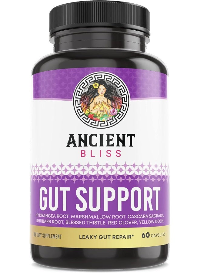 Ancient Bliss Leaky Gut Supplement, L Glutamine Capsules For Gut Support With Blessed Thistle And Hydrangea Root, Vegan And Non-Gmo, 60 Capsules - Image 1