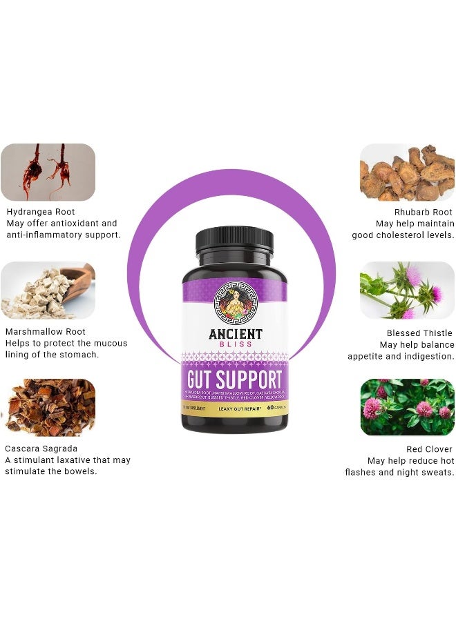 Ancient Bliss Leaky Gut Supplement, L Glutamine Capsules For Gut Support With Blessed Thistle And Hydrangea Root, Vegan And Non-Gmo, 60 Capsules - Image 3