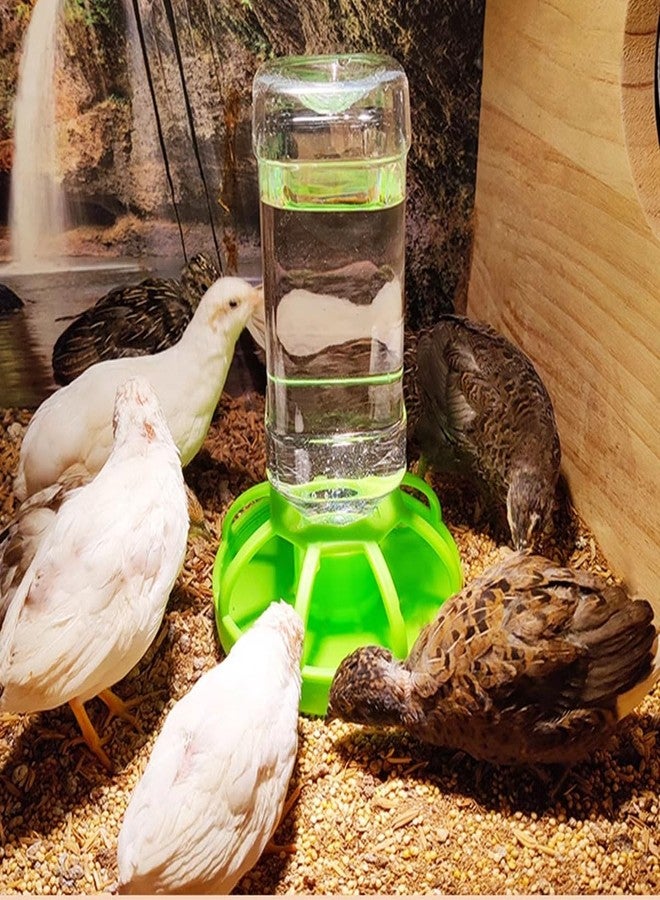 FOIBURELY Multiple-Hole AUTO Water Feeder for Button Quails - Image 3