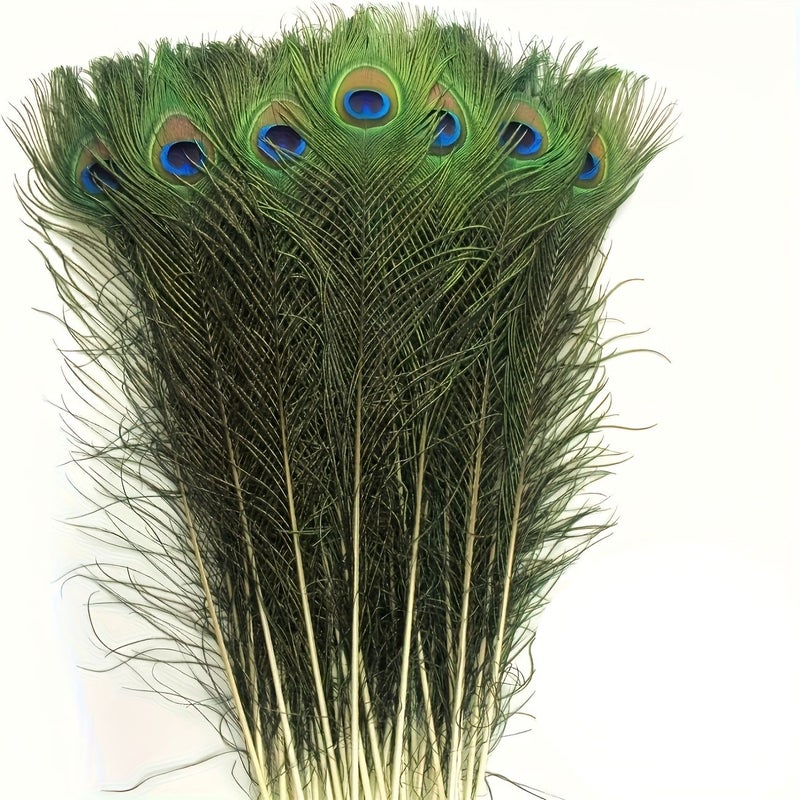 Green Artificial Peacock Feathers 18 Pieces Bulk Set for Vase Wedding Home Party DIY Craft Decoration - Image 3