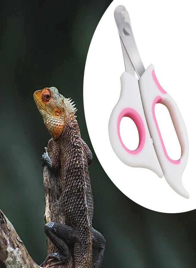 KEUYE Bearded Dragon Nail Clippers,Stainless Steel Bearded Dragon Toe Nail Clippers with Precise Angled Edges (Pinky White) - Image 2