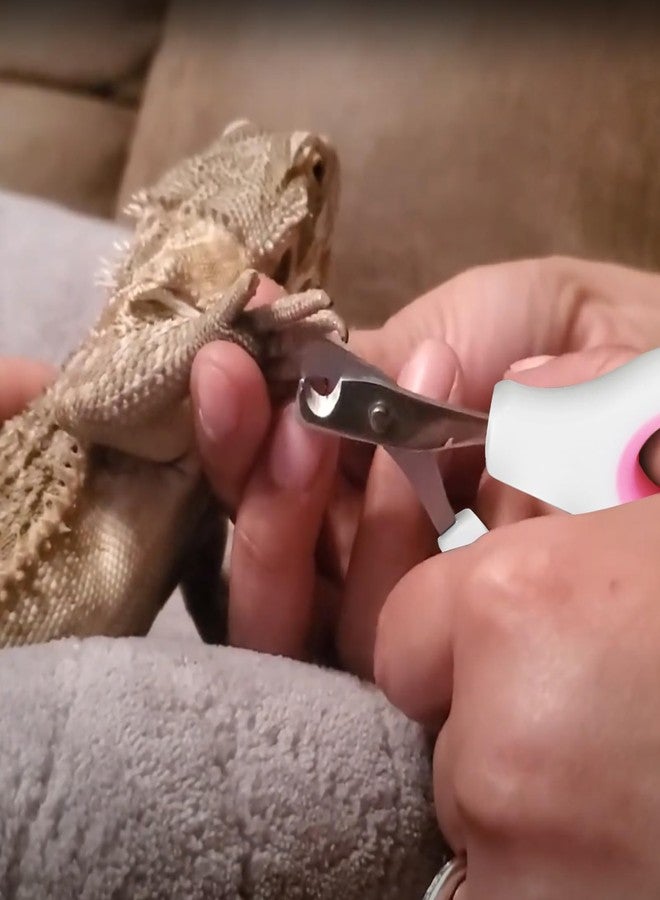 KEUYE Bearded Dragon Nail Clippers,Stainless Steel Bearded Dragon Toe Nail Clippers with Precise Angled Edges (Pinky White) - Image 4