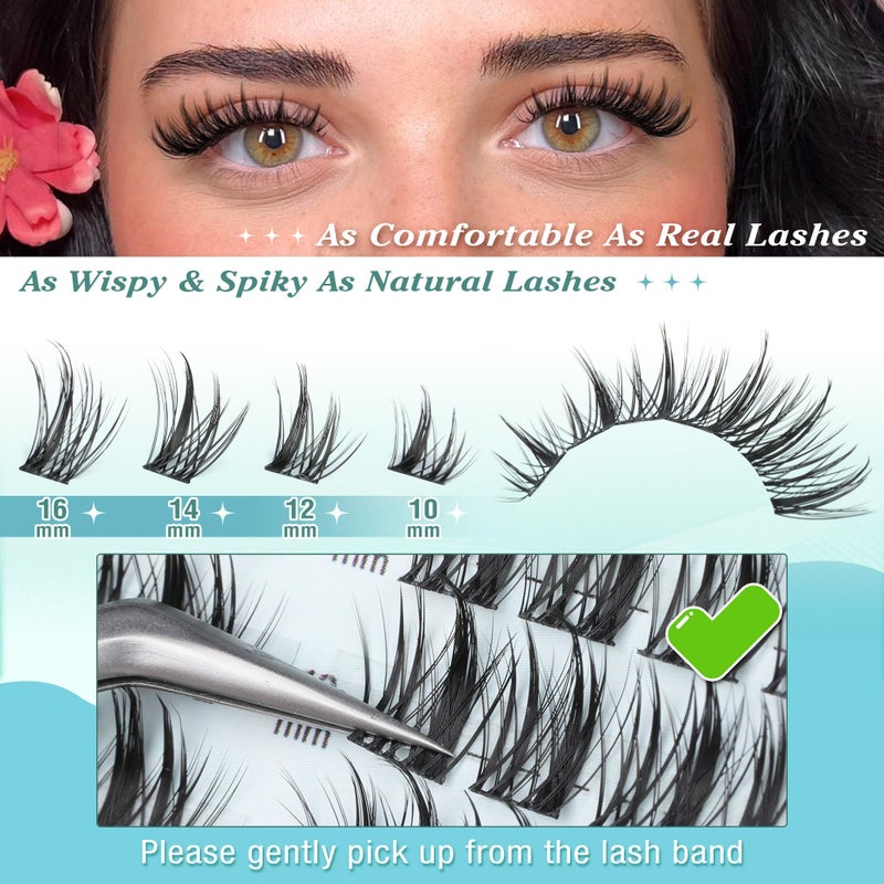 Newcally Cluster Lashes Kit Natural Look Cluster Eyelash Extension Kit Wispy Eyelash Clusters Kit Spiky DIY Lash Extension Kit CD-curly 10-16MM Manga Individual Lashes Kit by Newcally - Image 3