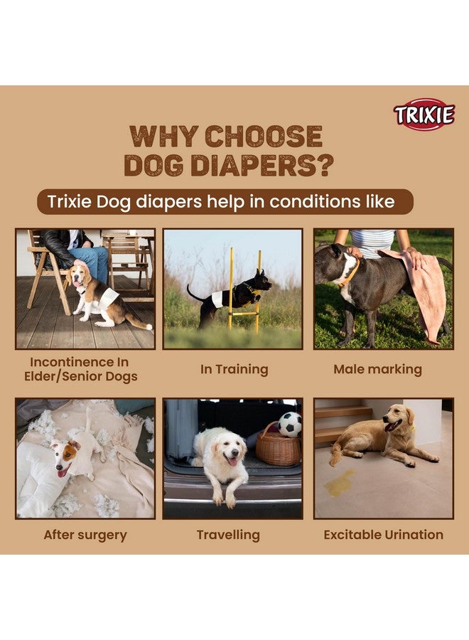 تريكسي: حفاضات يمكن التخلص منها للكلاب الذكور | مصنوعة من مادة البوليستر، تأتي مع مثبتات لاصقة وشريط مطاطي | يمكن استخدامها لتجنب علامات الذكور، التبول المثير - L-XL 60-80 سم 12 قطعة - Image 5