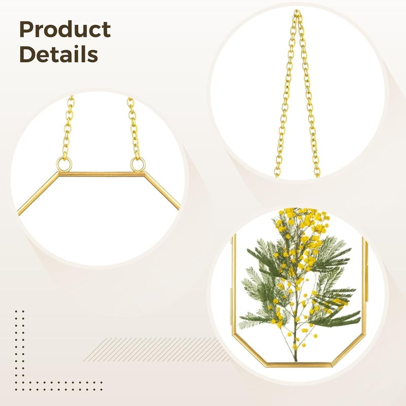 Set of Pressed Flower Glass Frame, Herbarium Photo Holder for Artwork of Dried Flowers Botanical Collection, 2 Pack Gold Metal Floating Picture Frames, Octagon Hanging Display with Chain - Image 2