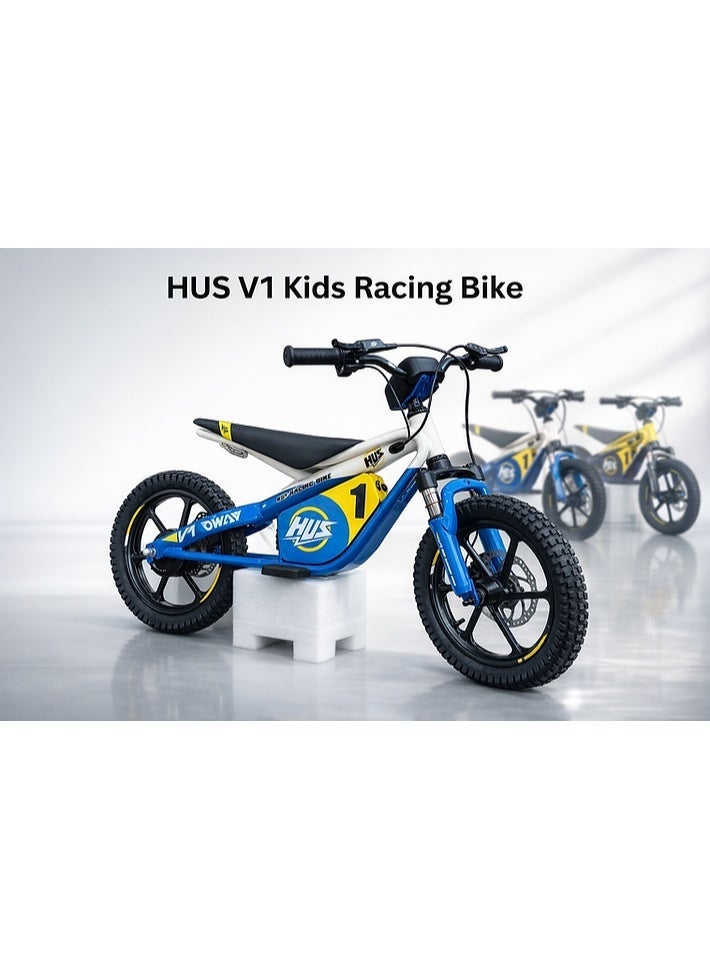 HUS OKAI HUS V1 Kids Electric Dirt Bike, 653W Brushless Motor, 36V 5.0Ah Battery - Image 3