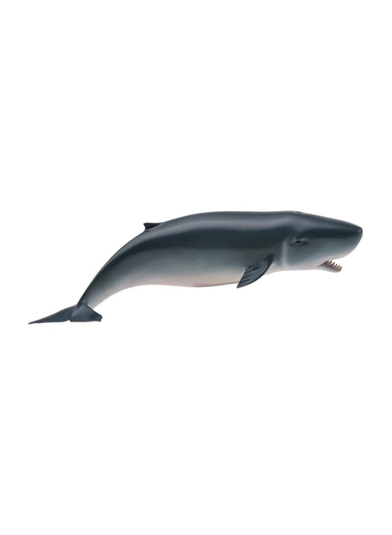 CollectA PYGMY SPRM WHALE