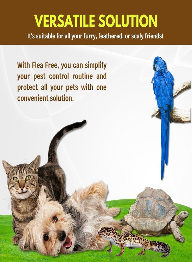 Goodscious Flea Free Food Supplement for Natural Pet Products - Natural Flea and Tick Prevention for Dogs and Cats - Pure Multivitamin for Small & Large Dogs - Organic Vitamin Supplement Formula Feeding (16 oz) - Image 5