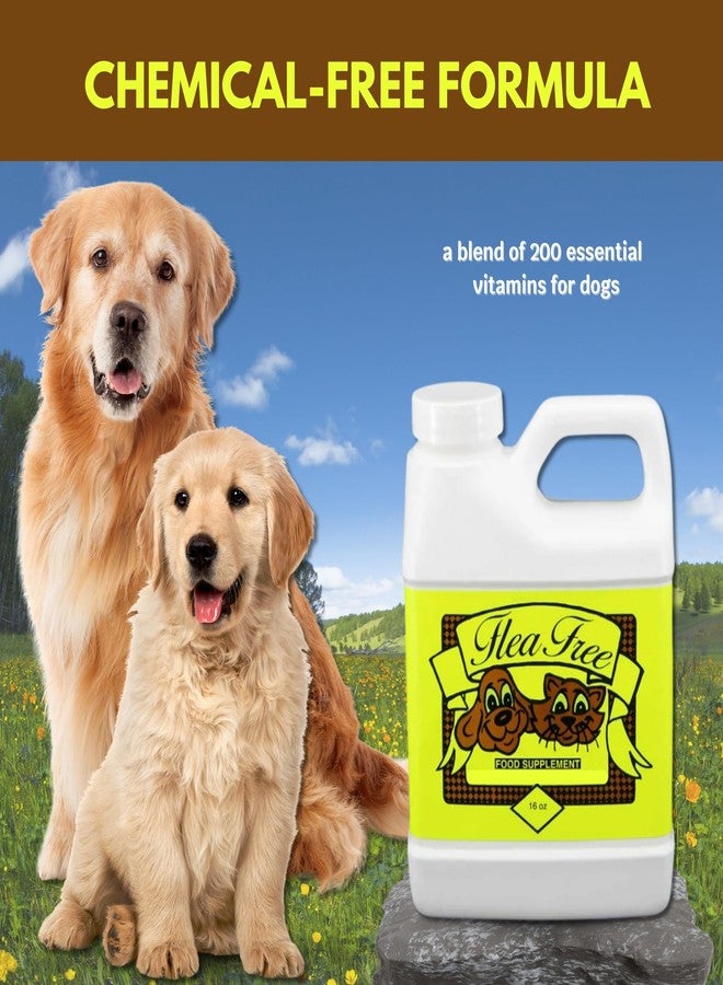 Goodscious Flea Free Food Supplement for Natural Pet Products - Natural Flea and Tick Prevention for Dogs and Cats - Pure Multivitamin for Small & Large Dogs - Organic Vitamin Supplement Formula Feeding (16 oz) - Image 2