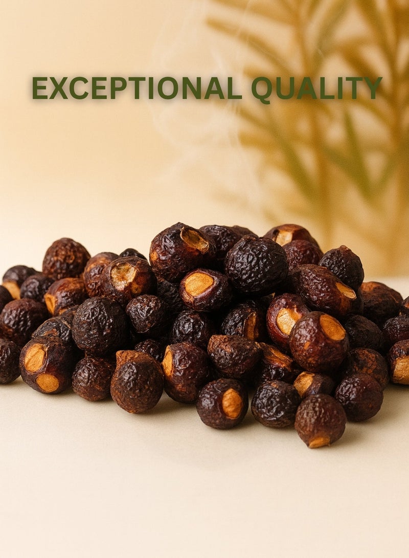 زهر أريتا مجففة كاملة - جودة ممتازة | فرز يدوي، زراعة مستدامة | عشبة طبيعية للزيوت المنقوعة، وشاي الأعشاب، والعصائر، والخبز، ومنتجات العناية بالصحة - Image 3