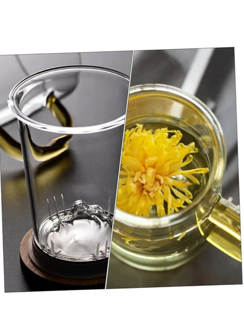 1Chase Borosilicate Glass Tea Cup with Mountain Shape Glass Infuser 500 Ml