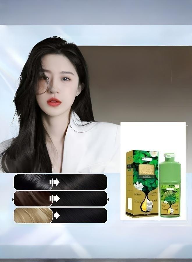 Say Goodbye to Gray Hair Forever: The Most Popular Natural Foam Hair Dye - Image 1