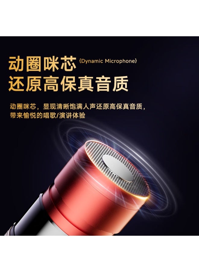 Shinco F8 Rechargeable Wireless Microphone, Home Ktv Singing, Stage Hosting, Speech, Karaoke, Conference Speaker, Amplifier, One-to System