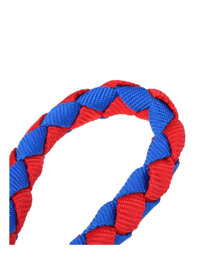 NIBEMINENT Braided Horse Leash Red/Blue - Image 3