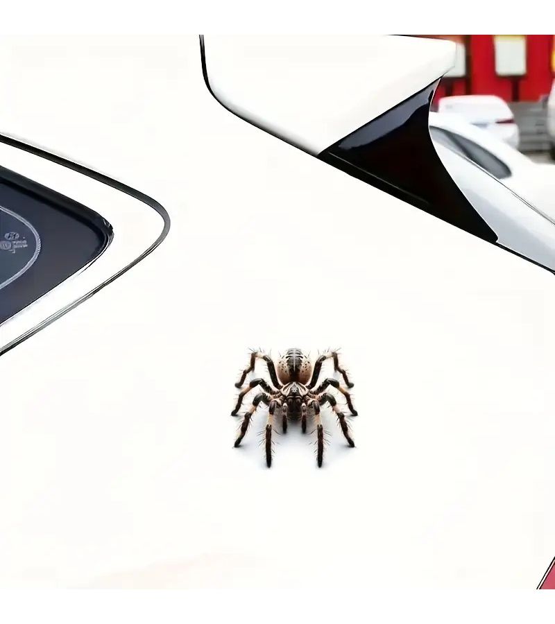 6inch Realistic Spider Vinyl Sticker Self-Adhesive Glossy for Cars Laptops Phones Windows Walls Bottles Trucks Motorcycles - Image 4