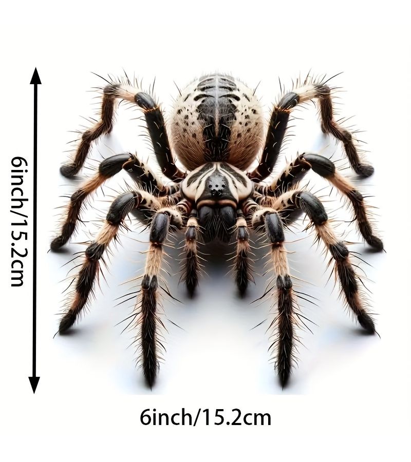6inch Realistic Spider Vinyl Sticker Self-Adhesive Glossy for Cars Laptops Phones Windows Walls Bottles Trucks Motorcycles - Image 2