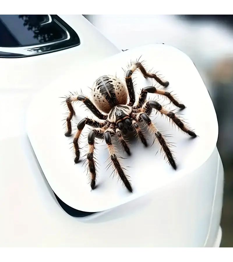 6inch Realistic Spider Vinyl Sticker Self-Adhesive Glossy for Cars Laptops Phones Windows Walls Bottles Trucks Motorcycles - Image 5