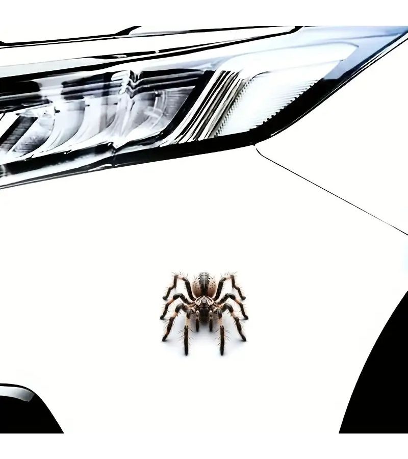 6inch Realistic Spider Vinyl Sticker Self-Adhesive Glossy for Cars Laptops Phones Windows Walls Bottles Trucks Motorcycles - Image 3