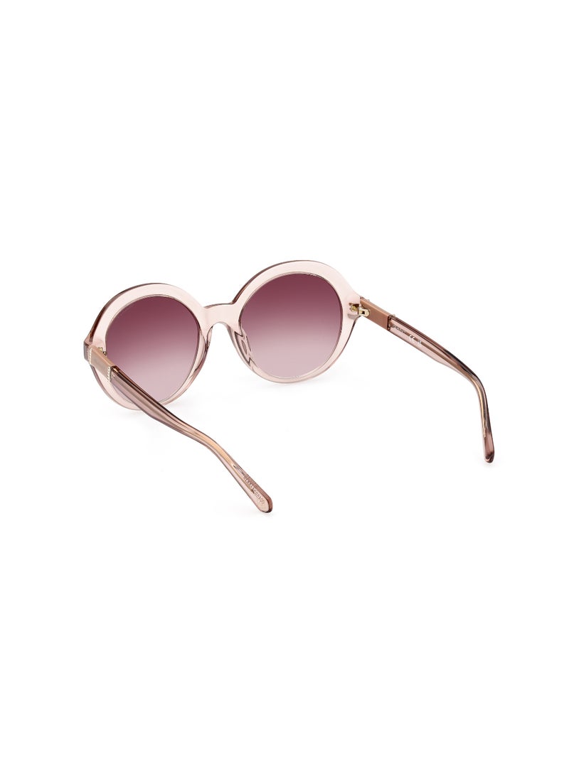 GANT Women's UV Protection Round Shape Acetate Sunglasses GA809457F55 - Lens Size: 55 Mm - Shiny Beige  - Image 5
