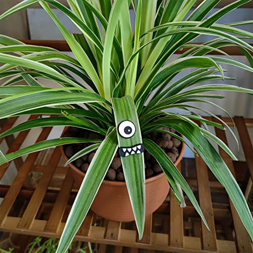 HOMDSG Monster Plant Magnets Eyes for Potted Plants, Funny Plant Safe Magnet Pins Charms, House Plant Accessories, Christmas Decorations Gift for Plant Lovers - Image 5