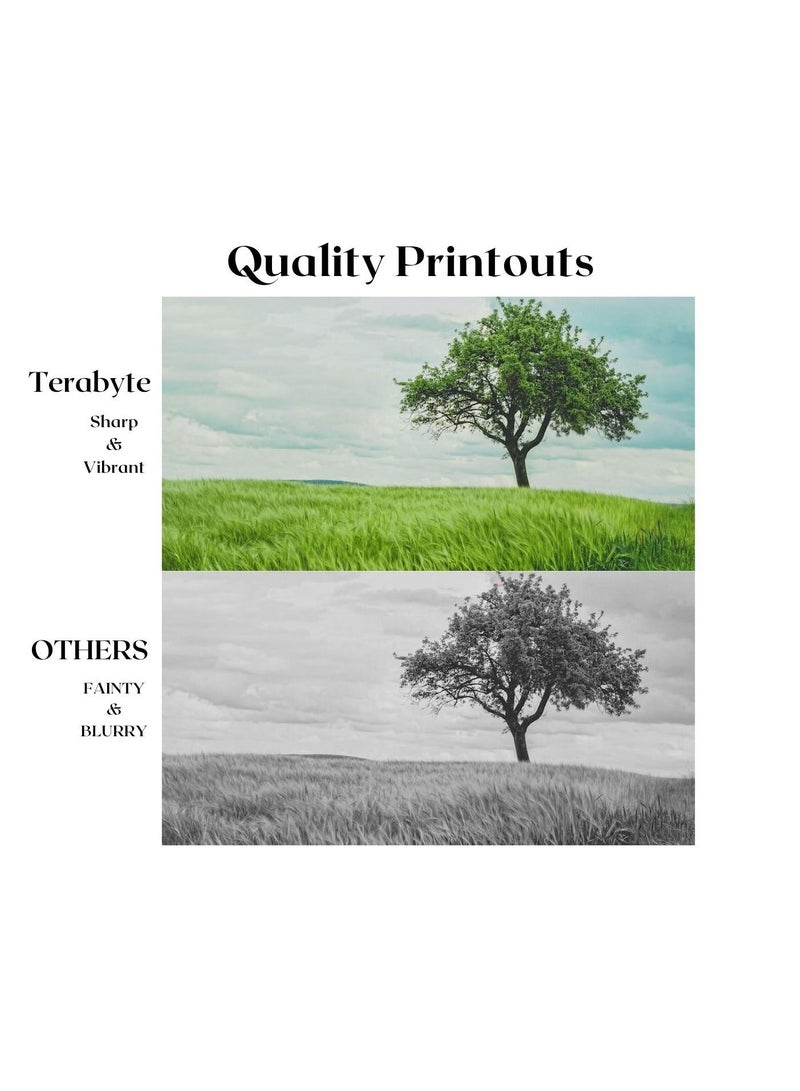 Terabyte TONER CARTRIDGE TN2060/TN2260/TN2280 BLACK - Image 4