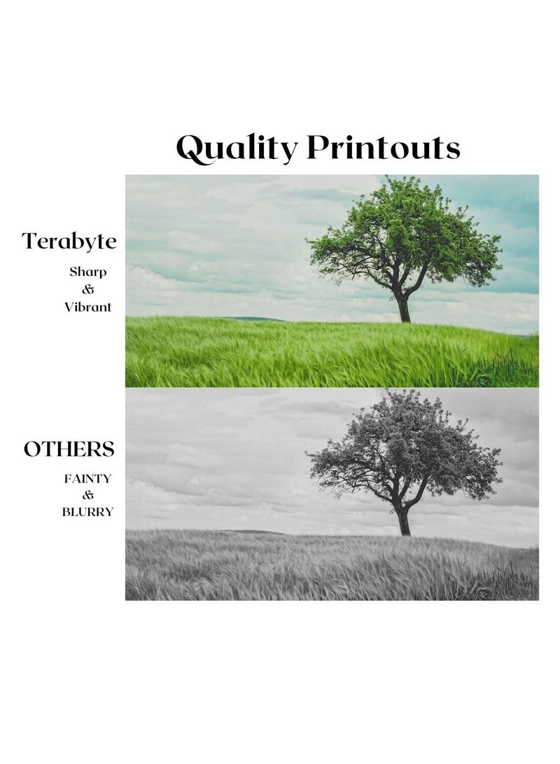 Terabyte TN217 COMPATIBLE TONER TERABYTE - Image 2