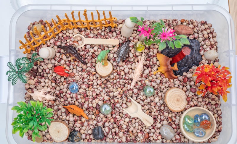 Sensory-N-Stuff Dinosaur Sensory Bin Kit for Kids TasteSafe Pinto Beans Fossil Skeletons Trees Volcano Durable Wooden Tools Includes Storage Bin - Image 3