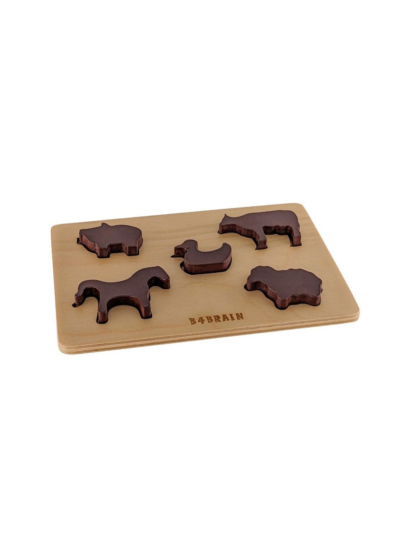 B4BRAIN Complete Developmental Playbox (15-18 Months) - Image 2
