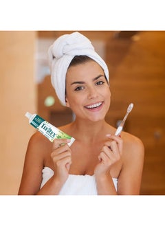 Kudos Kudos Teerex Gel Toothpaste Ayurvedic Formulation Multi Benefit Toothpaste - 100g (2 of Pack)  - Image 5