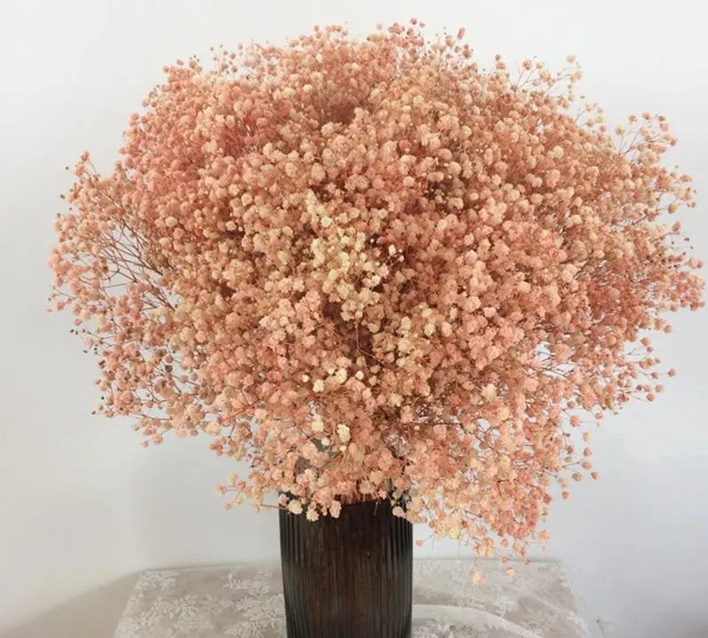 Bluejw Outlet Dried Gypsophila – Natural Preserved Baby's Breath for Wedding Bouquets, Home Decor & Dried Flower Arrangements - Image 1