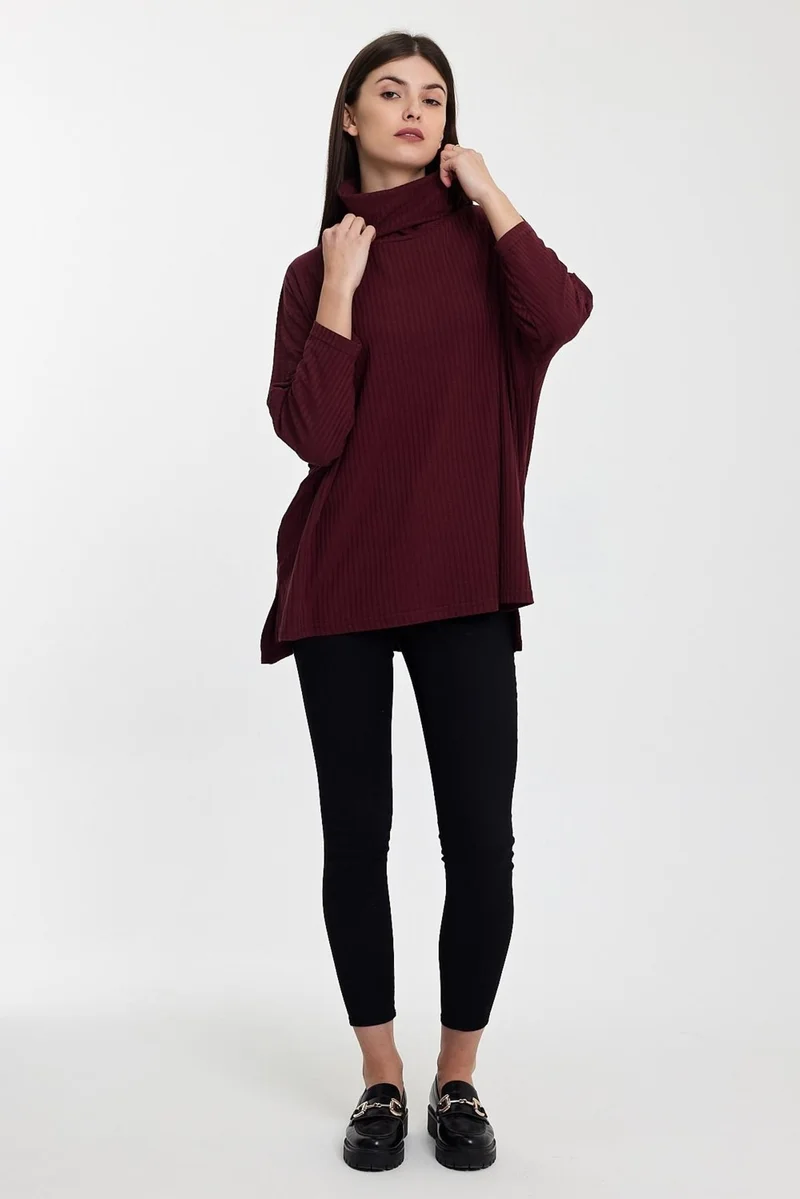الكسندر جاردي Alexandergardı Turtleneck Fine Knitwear SWEATER(B24-36603)