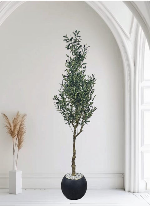 Fruitful olive tree with a large gray pot, with an attractive design, make your home more elegant, 180 cm