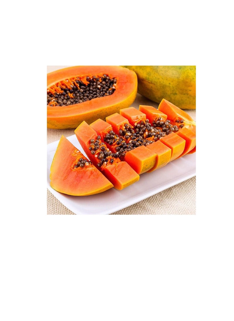 GGOOT - 100Pcs Papaya Seeds Red Flesh Fruits Exudes A Light Fragrance Essential Fruit for Entertaining Guests Loved by Children - Image 1