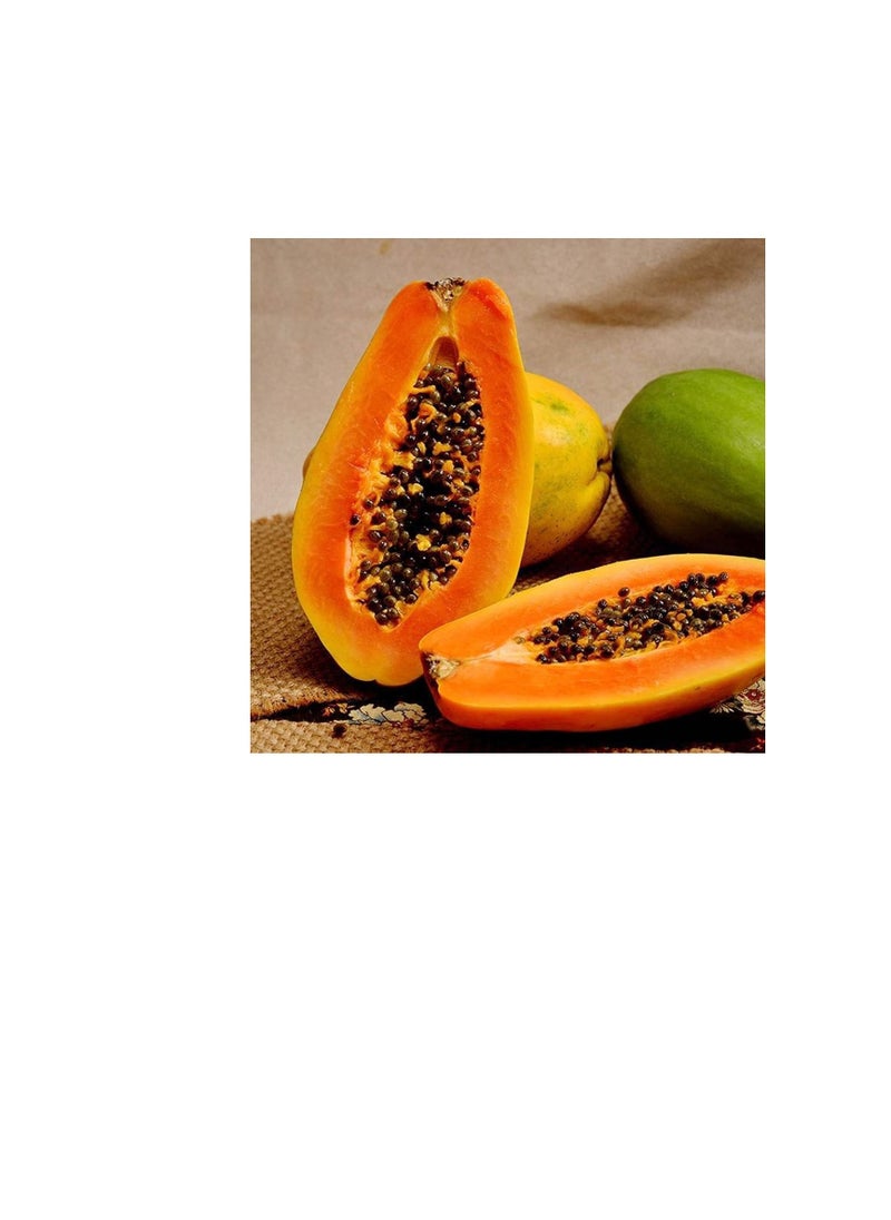 GGOOT - 100Pcs Papaya Seeds Red Flesh Fruits Exudes A Light Fragrance Essential Fruit for Entertaining Guests Loved by Children - Image 1
