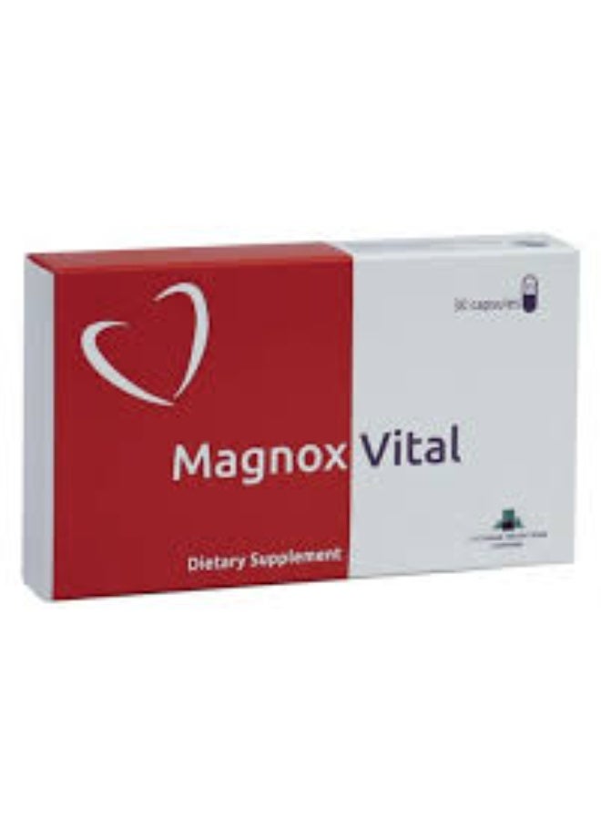 Magnox Vital capsule, 30s - Image 1