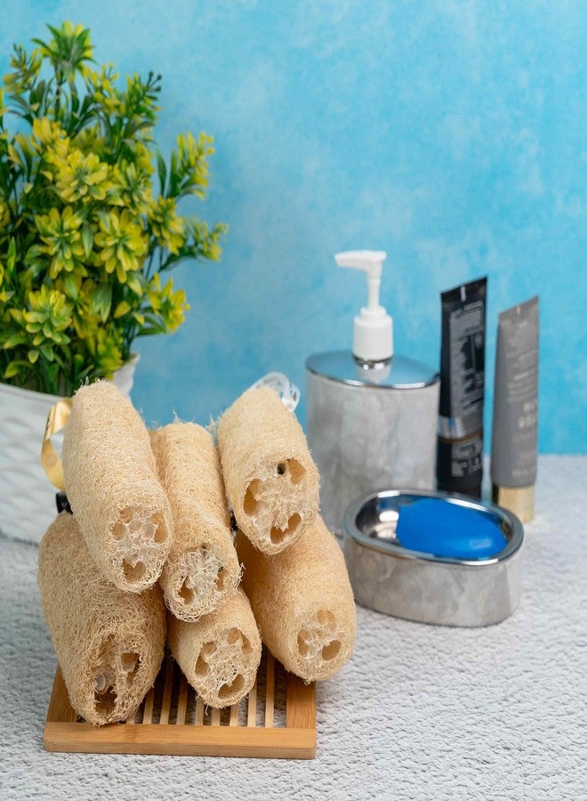 Organic B Sun-Dried Natural Loofah - 6 Pack Vegetable-Fiber Body Exfoliator | Sustainable, Gentle Dead-Skin Scrubber | Eco-Friendly Bath & Body Essential - Image 5