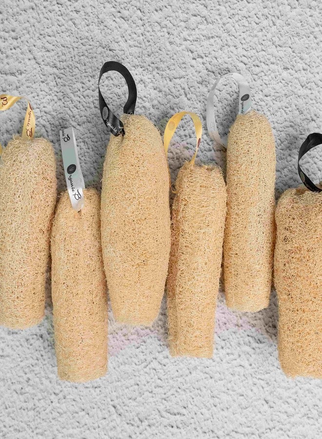 Organic B Sun-Dried Natural Loofah - 6 Pack Vegetable-Fiber Body Exfoliator | Sustainable, Gentle Dead-Skin Scrubber | Eco-Friendly Bath & Body Essential - Image 3