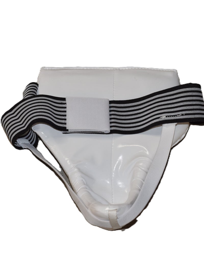 Taekwondo Groin Protector for Males - pzsku/Z78B2C3A61844B2A45D63Z/45/_/1706709645/f68f4daa-c57f-4cb9-8b7e-b15098d29d3d