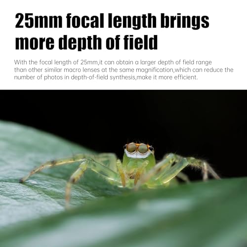 AstrHori 25mm F28 2X5X Ultra Macro Lens Full Frame Manual Focus Compatible with Canon RF Mount mirrorless Cameras EOSR RPR5R5CR6R7R10etc - Image 3