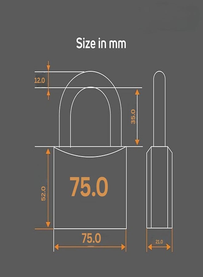 AKKIAGRO AKKI Agro 75mm Padlock for Door with 2 Keys, Solid Brass Finish Mian Door Lock for Home (Pack of 1) - Image 4