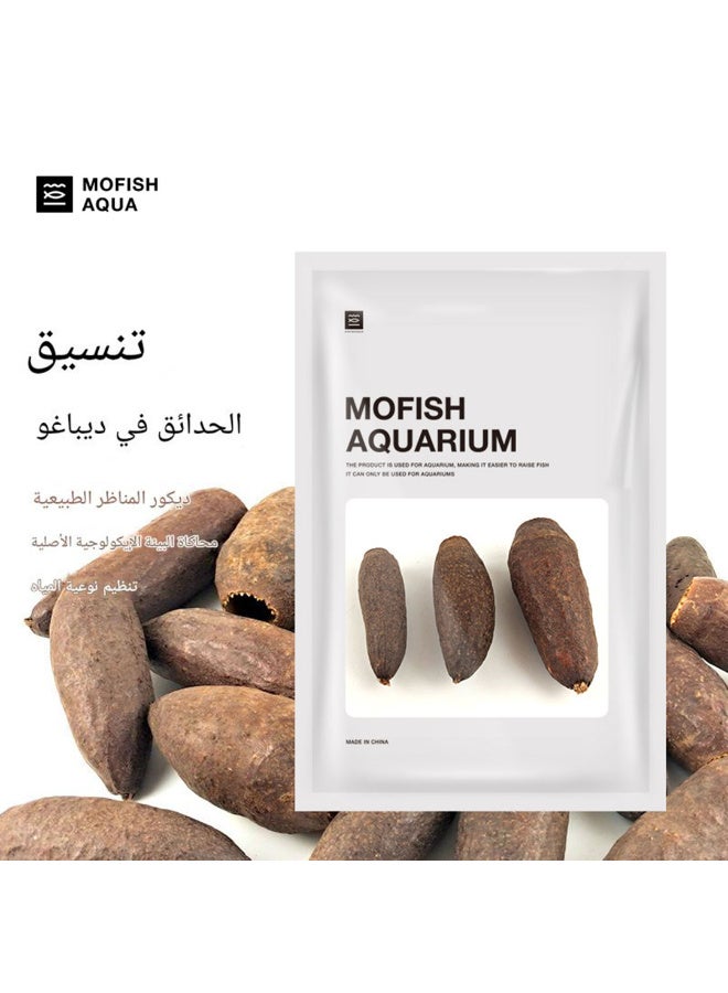 اوراق طبيعية لاحواض اسماك الزينة و التيراريوم - Image 1