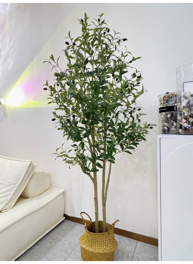 Artificial Olive Tree Potted Plant – 6ft (180cm) Silk Tree, Perfect Potted Faux Plant with Straw Basket, for Indoor/Outdoor Home, Office, Garden Modern Décor and Housewarming Gift - Image 5