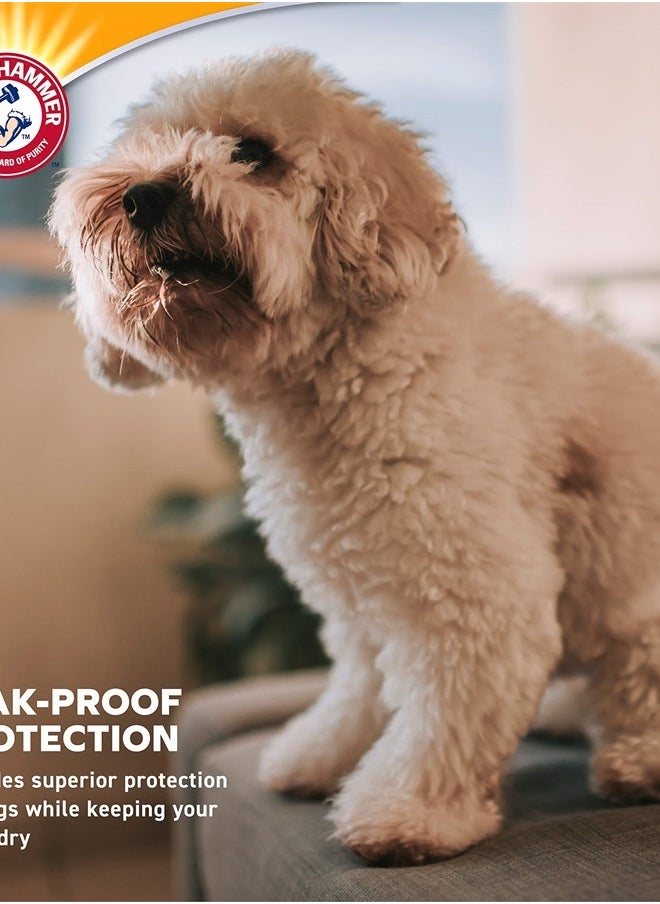 Arm & Hammer - for Pets Female Dog Diapers, Size Large, 12 Count | Ultra-Absorbent, Adjustable Girl Dog Diapers with Leak-Proof Protection and Wetness Indicator - Image 1