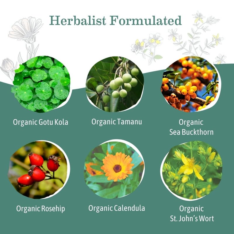 Earth Mama Organic Skin & Scar Balm |C-Section Recovery Skin Care, Pregnancy Stretch Mark Scar Cream with Organic Jojoba Oil, Tamanu Oil & Gotu Kola (2-Pack) - Image 4