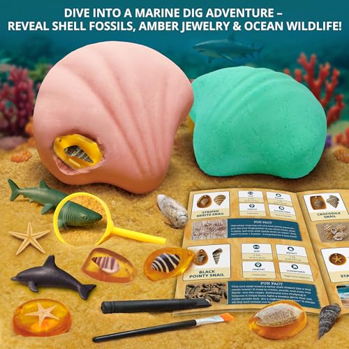 PIBEX UnderTheSea Dig Kit Dig Discover 18 Real Shell Fossils Amber Jewelry Sea Animal Creatures Ocean Necklace Making STEM Excavation Activity Toy for Kids Ages 6 - Image 5