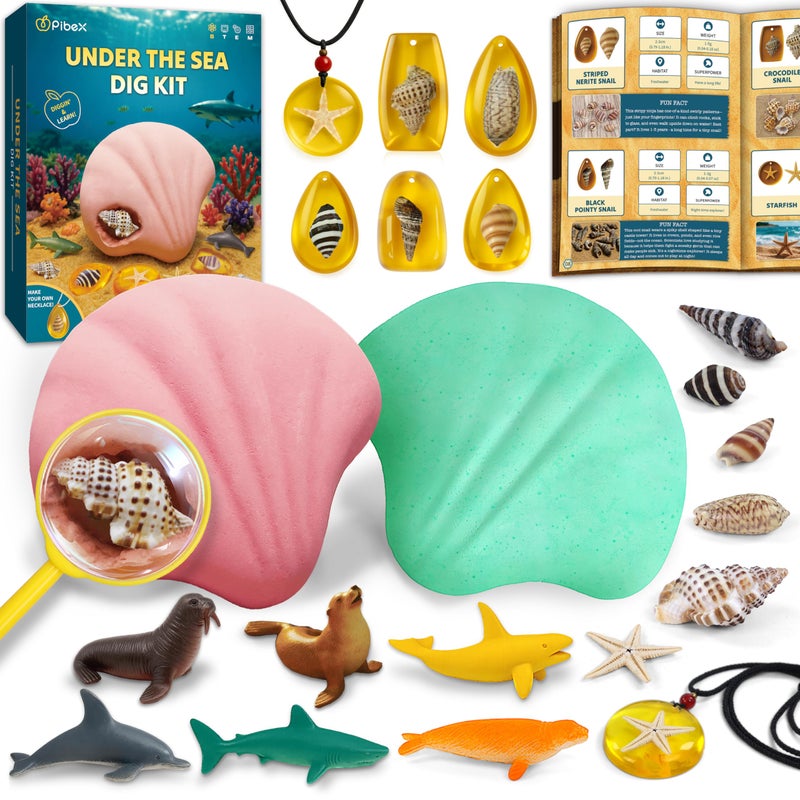 PIBEX UnderTheSea Dig Kit Dig Discover 18 Real Shell Fossils Amber Jewelry Sea Animal Creatures Ocean Necklace Making STEM Excavation Activity Toy for Kids Ages 6 - Image 3