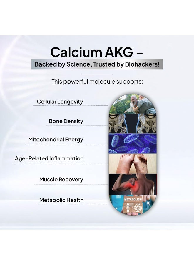 Miduty Calcium Alpha-Ketoglutarate (Ca-AKG) – 99% Stabilized Calcium AKG - Longevity & Bone Health Supplement For Men & Women – Supports Energy, Muscle Strength & Healthy Aging – 60 Capsules - Image 2