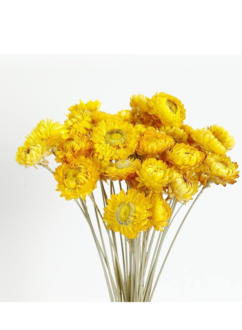 SYOSI Artificial African Daisies Flowers Daisy Silk Gerbera Pack of 30 (Yellow) - Image 1