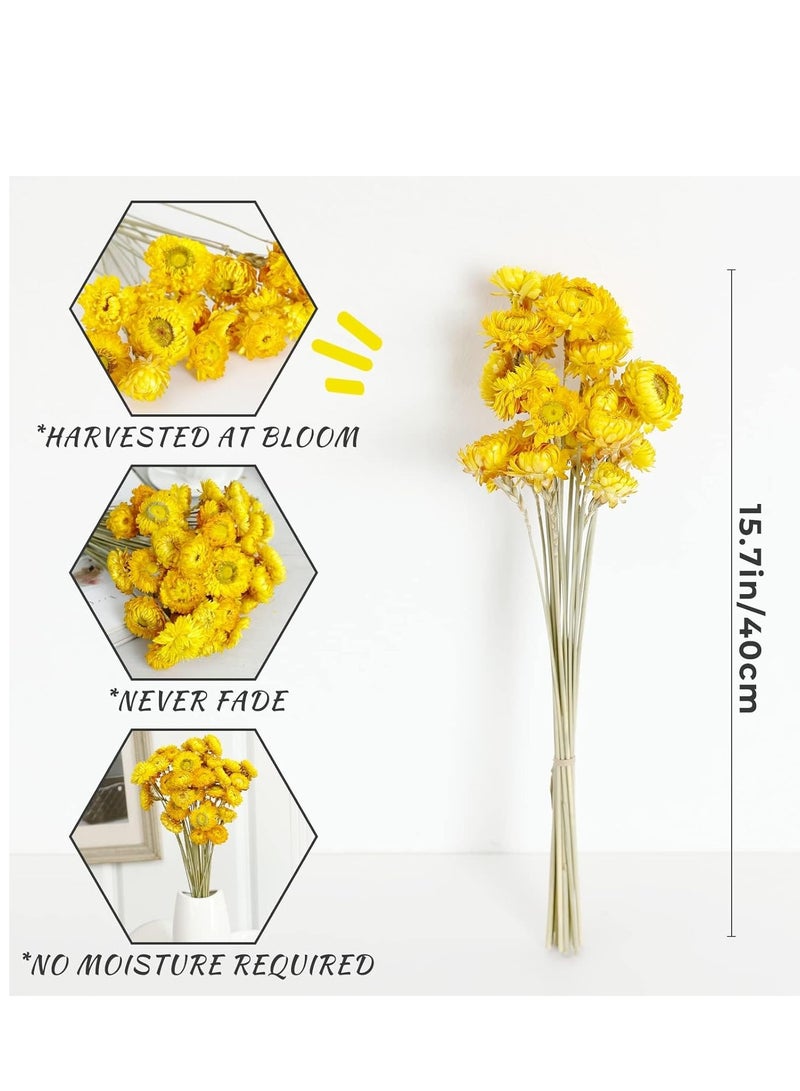 SYOSI Artificial African Daisies Flowers Daisy Silk Gerbera Pack of 30 (Yellow) - Image 4