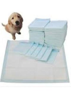 Cat Dog Pee Pad 60X90 30 Pcs 2 Pack